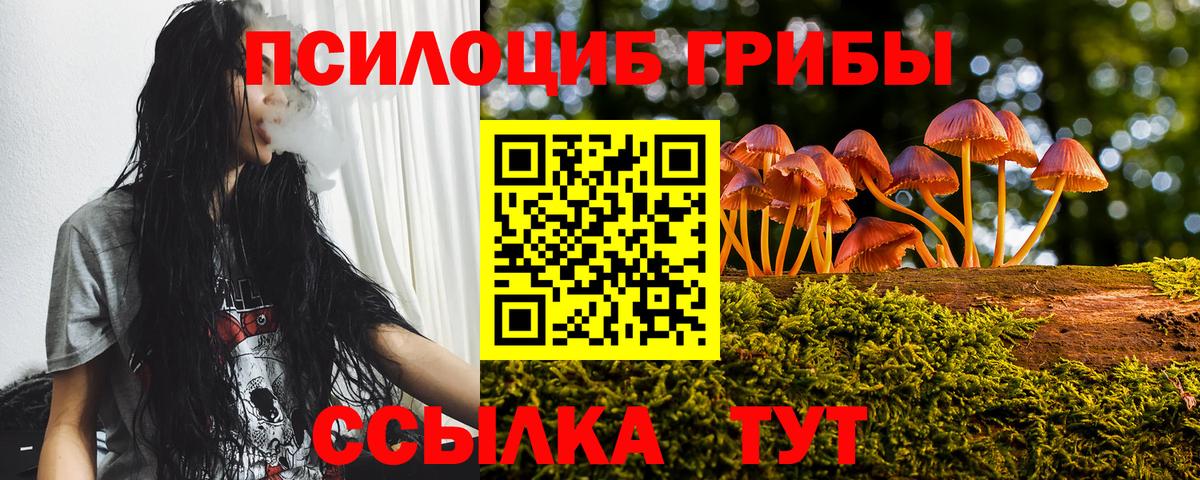 Псилоцибиновые грибы Cubensis Старая Купавна