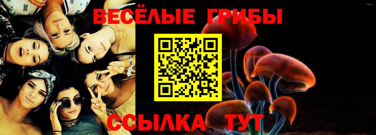 COCAIN Старая Купавна